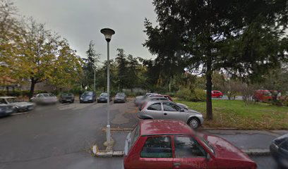 Servis Za Racunare Robert Dorcic Preduzetnik Beograd, Rudo 1/155