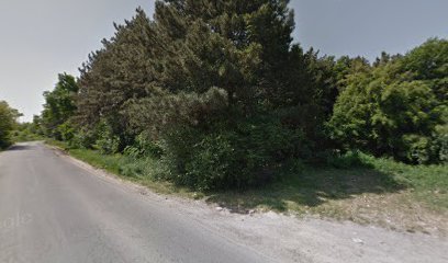 Zemljoradnička (Put za deponiju)