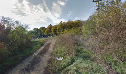 Groblje, selo Rakovica