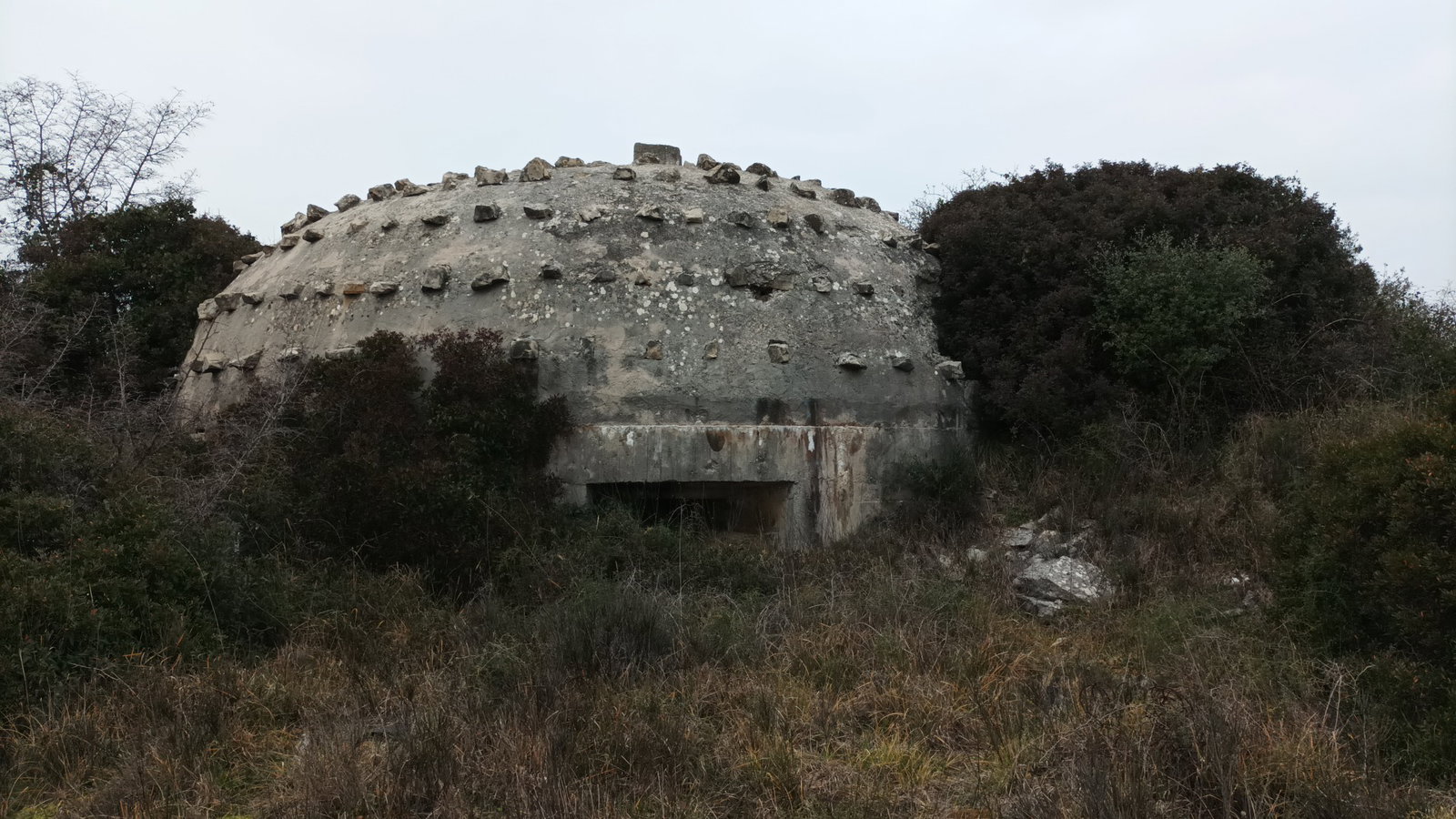 Crkva sv. Petar apostol