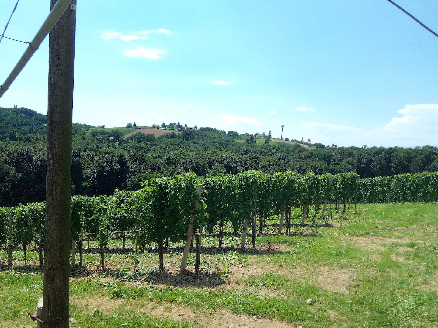 Obiteljsko Gospodarstvo Novak