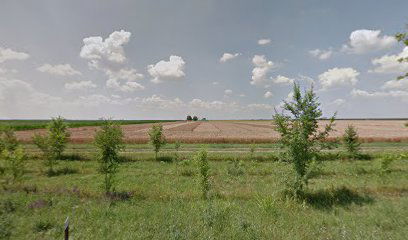 “Tamiš” Research and Development Institute, Pančevo, Serbia (Experimental field) OGLEDNO POLJE