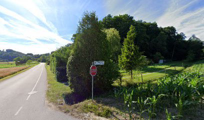 Brezovec/Cirkulanah 40