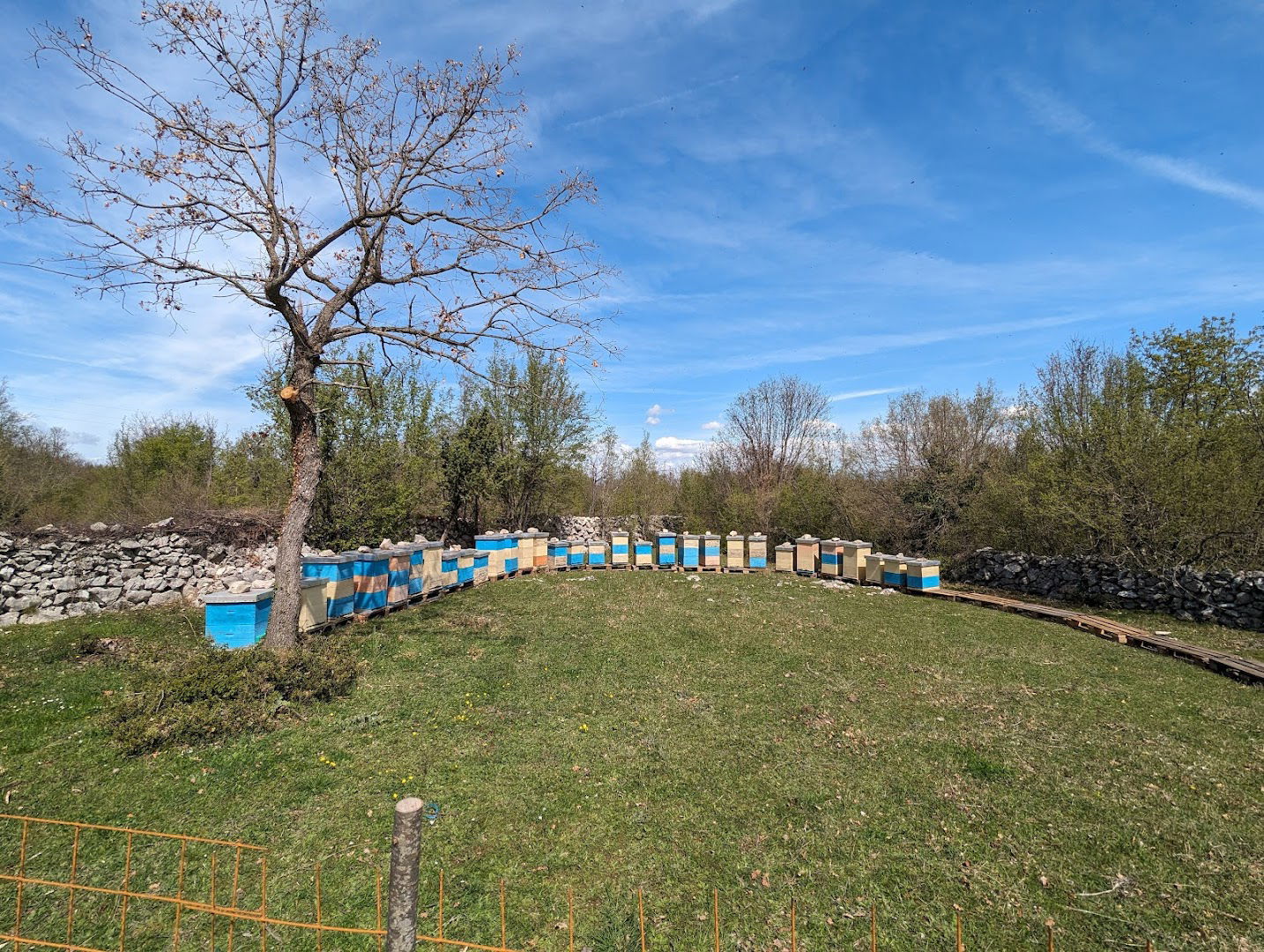 Pčelarstvo Dragićević