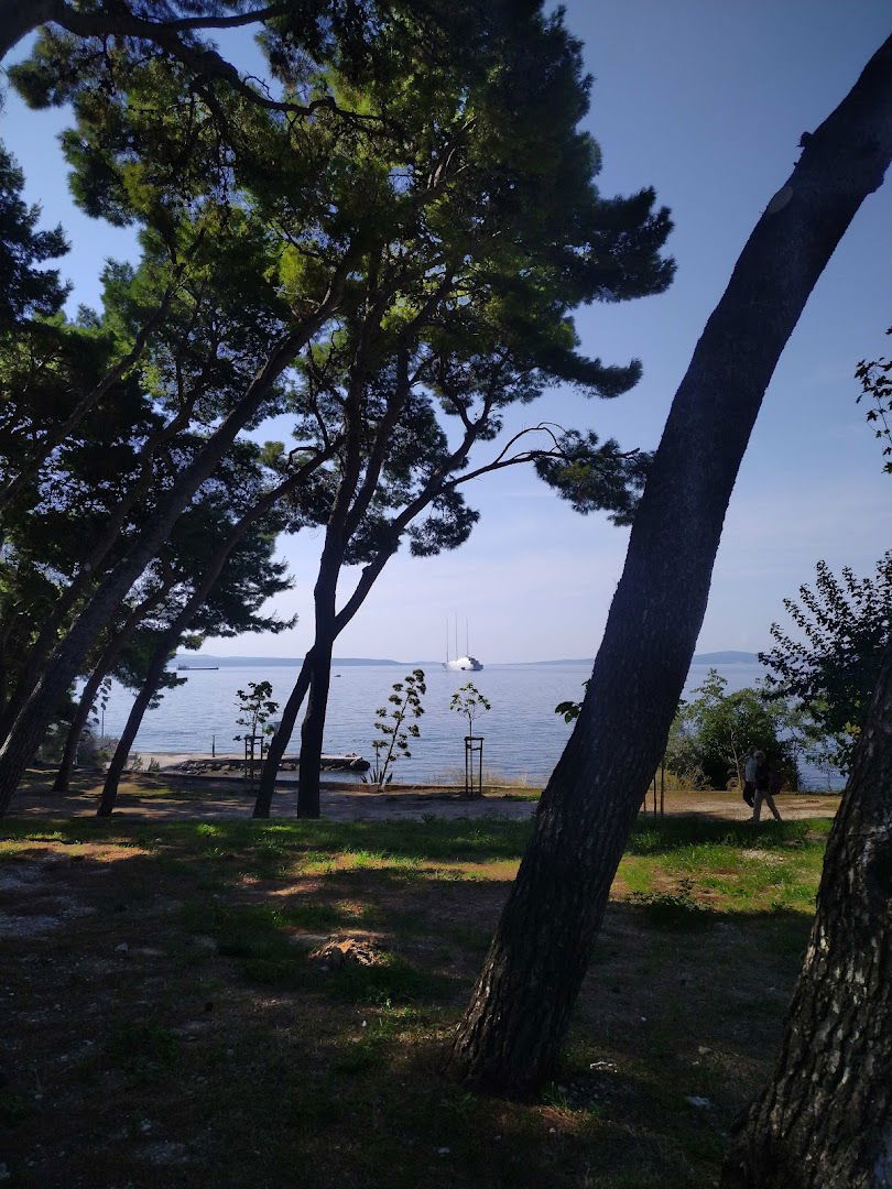 Small Forest by the Beach