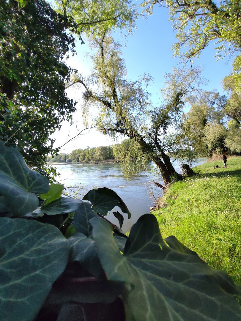 Duna-Dráva Nemzeti Park