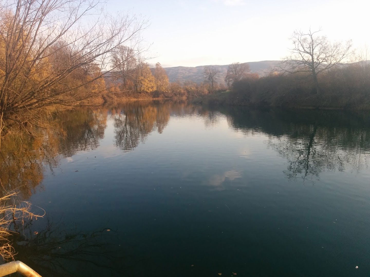 Nakup in prodaja grozdja in vina, Tomaž Žaren s.p.