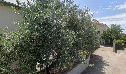 Zara Drive Rent a car