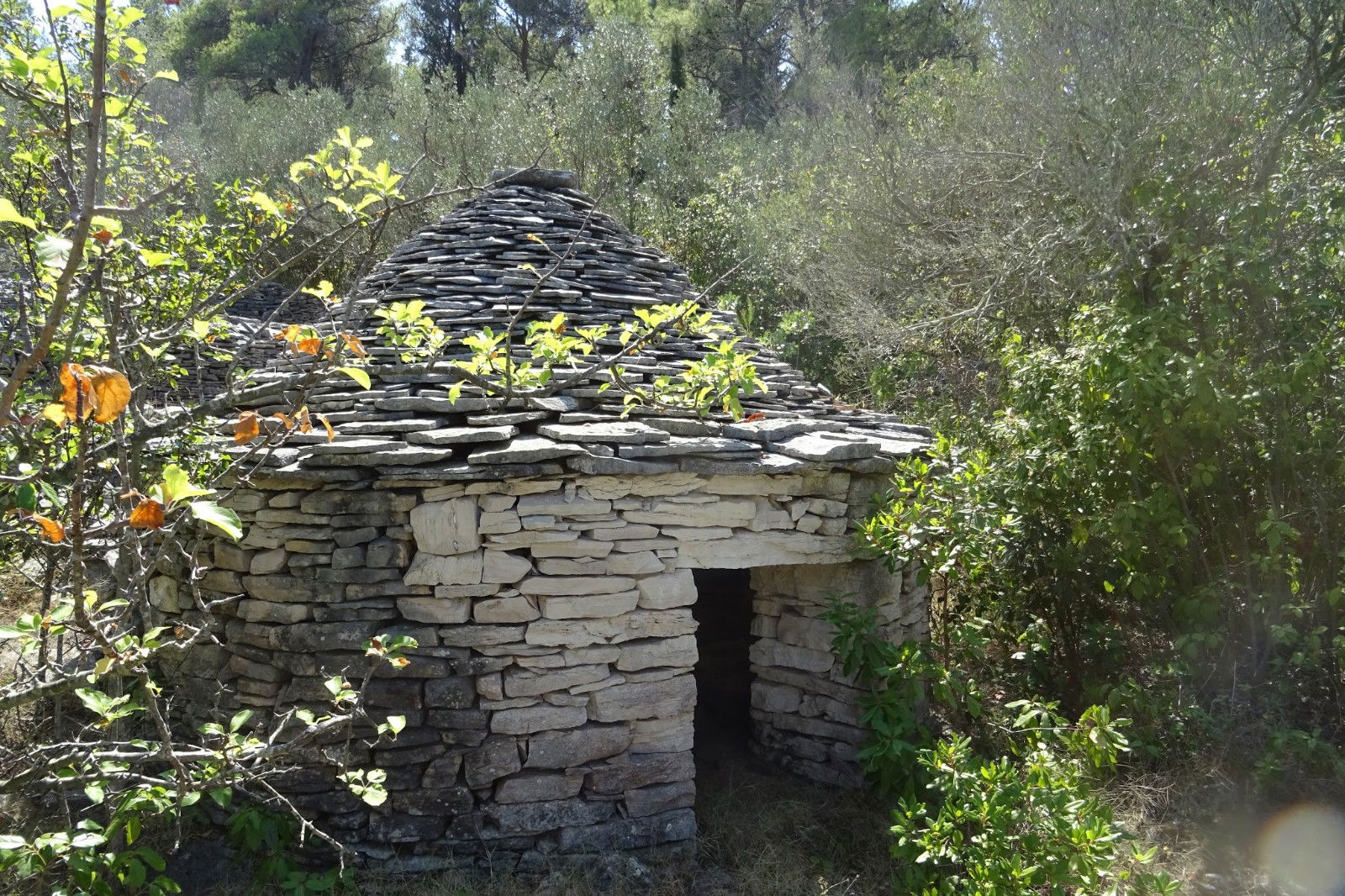 Vrtuljak iznad Stiniva