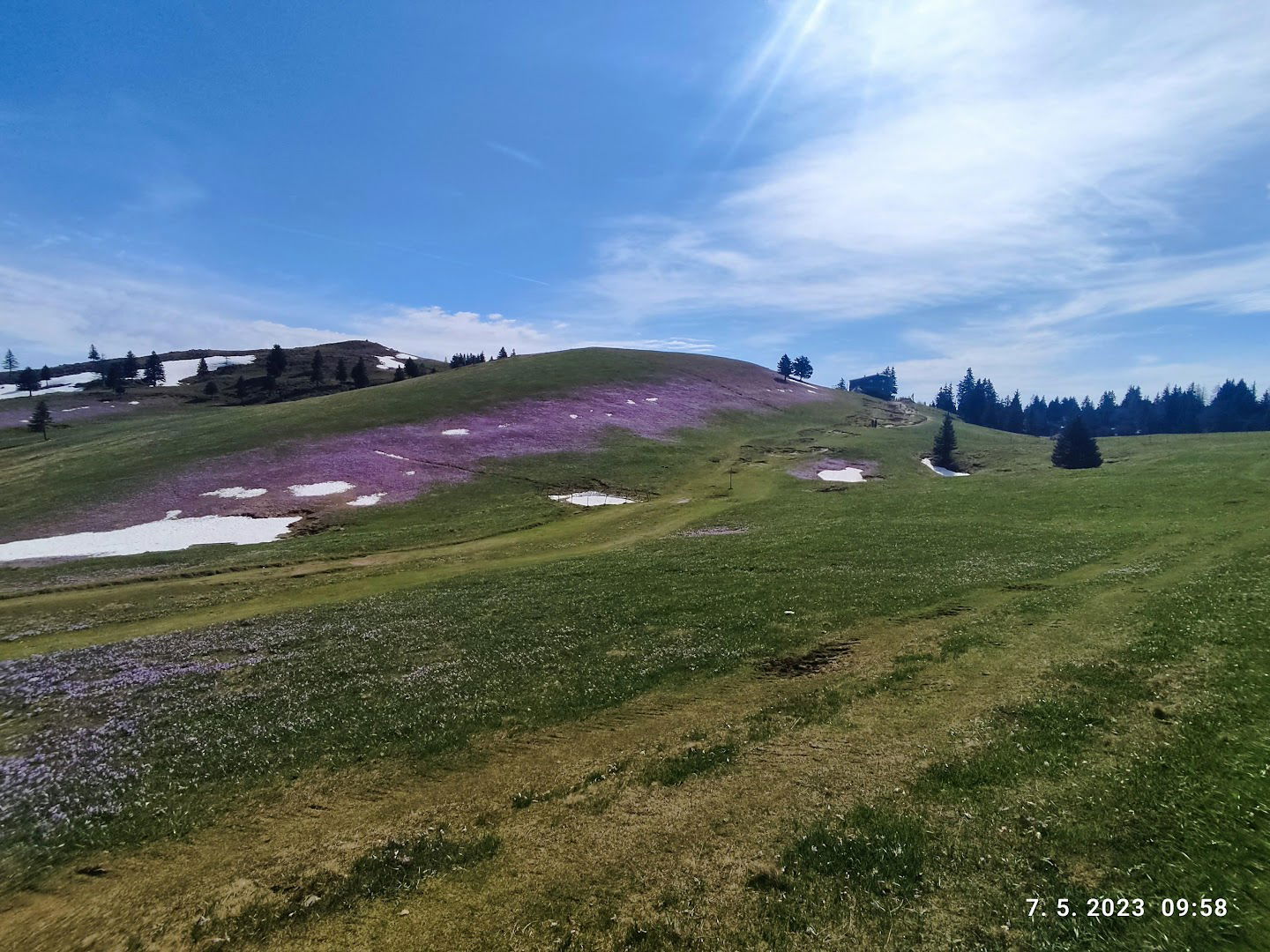 Velika planina