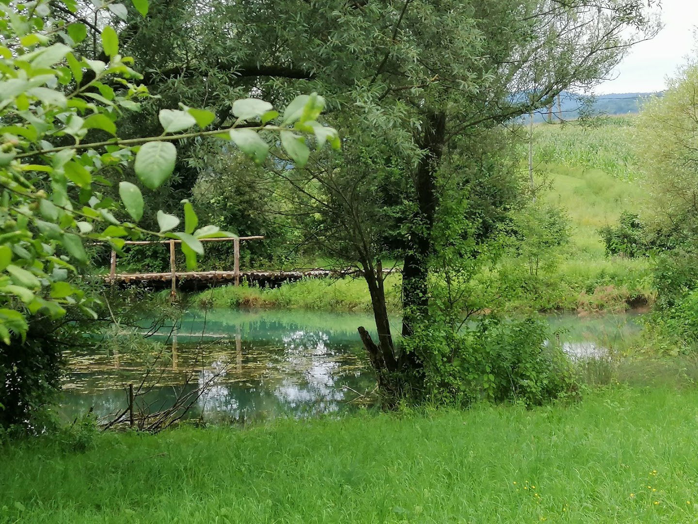 Rihard Zupančič - Nosilec dopolnilne dejavnosti na kmetiji