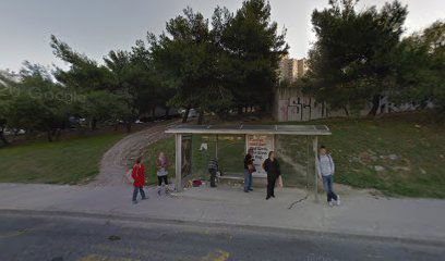 DOMOVINSKOG RATA - PUJANKE