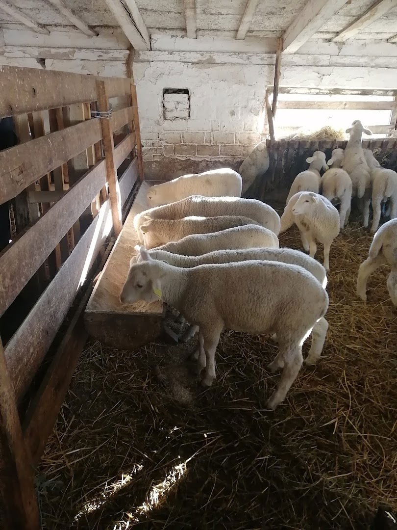 Institute for Animal Husbandry