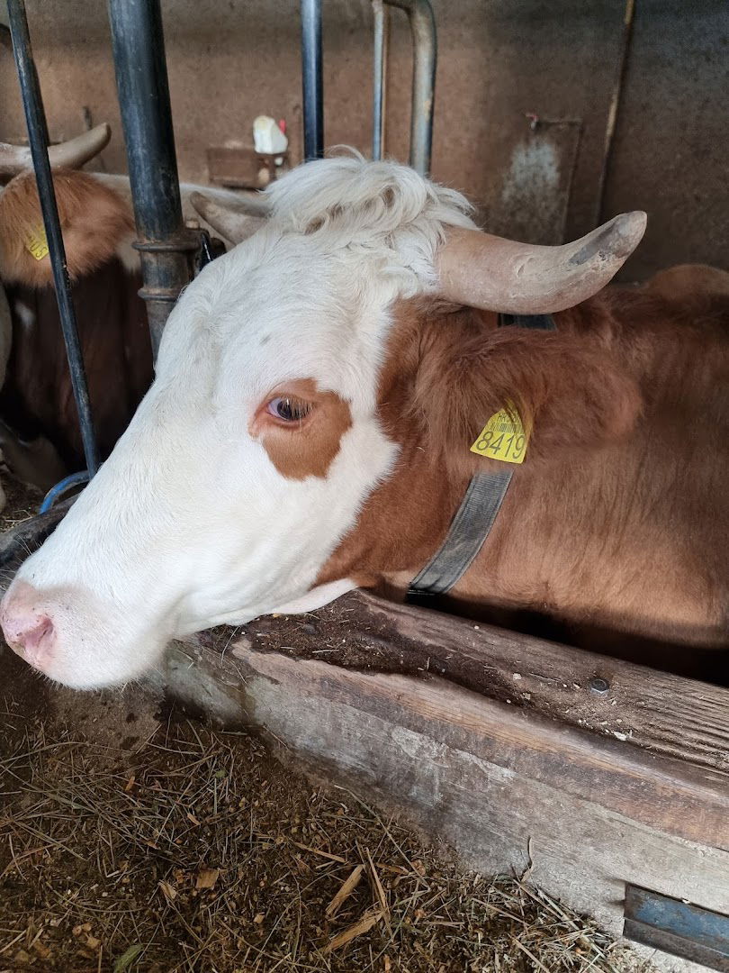 OBRT ZA POLJOPRIVREDNU PROIZVODNJU, UZGOJ, TRGOV