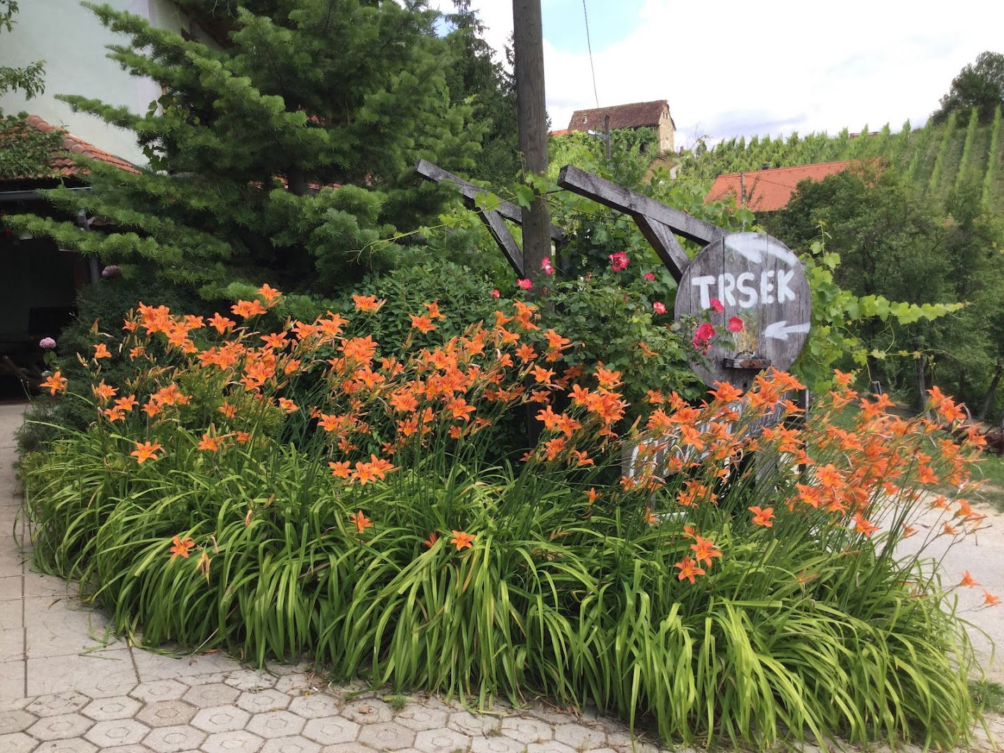 Seljacki Turizam Trsek