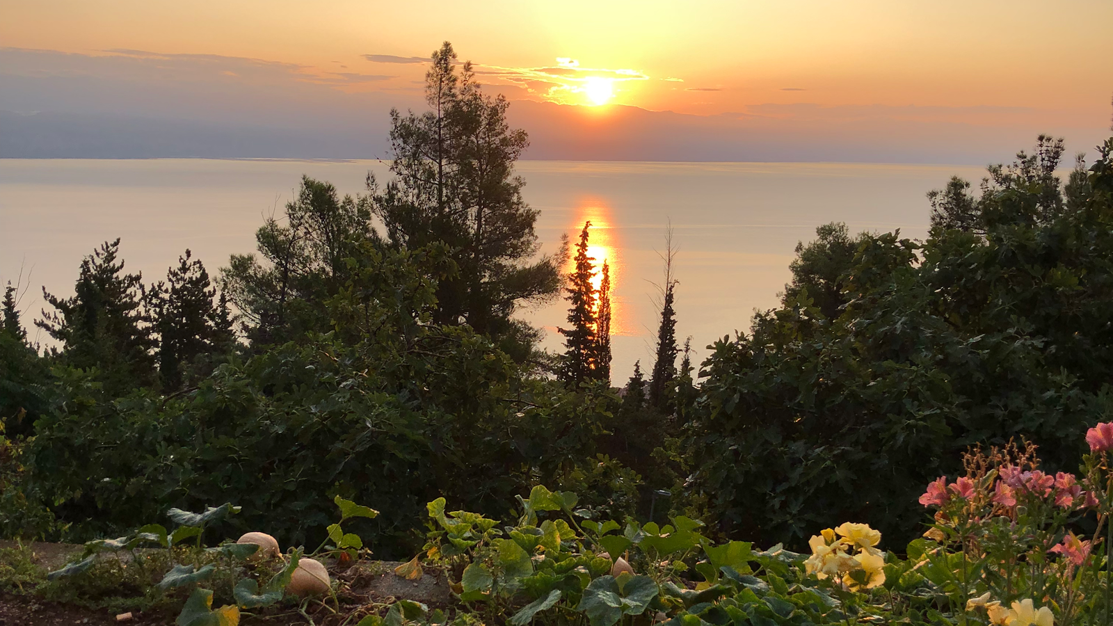 Apartmani Milena & Marino