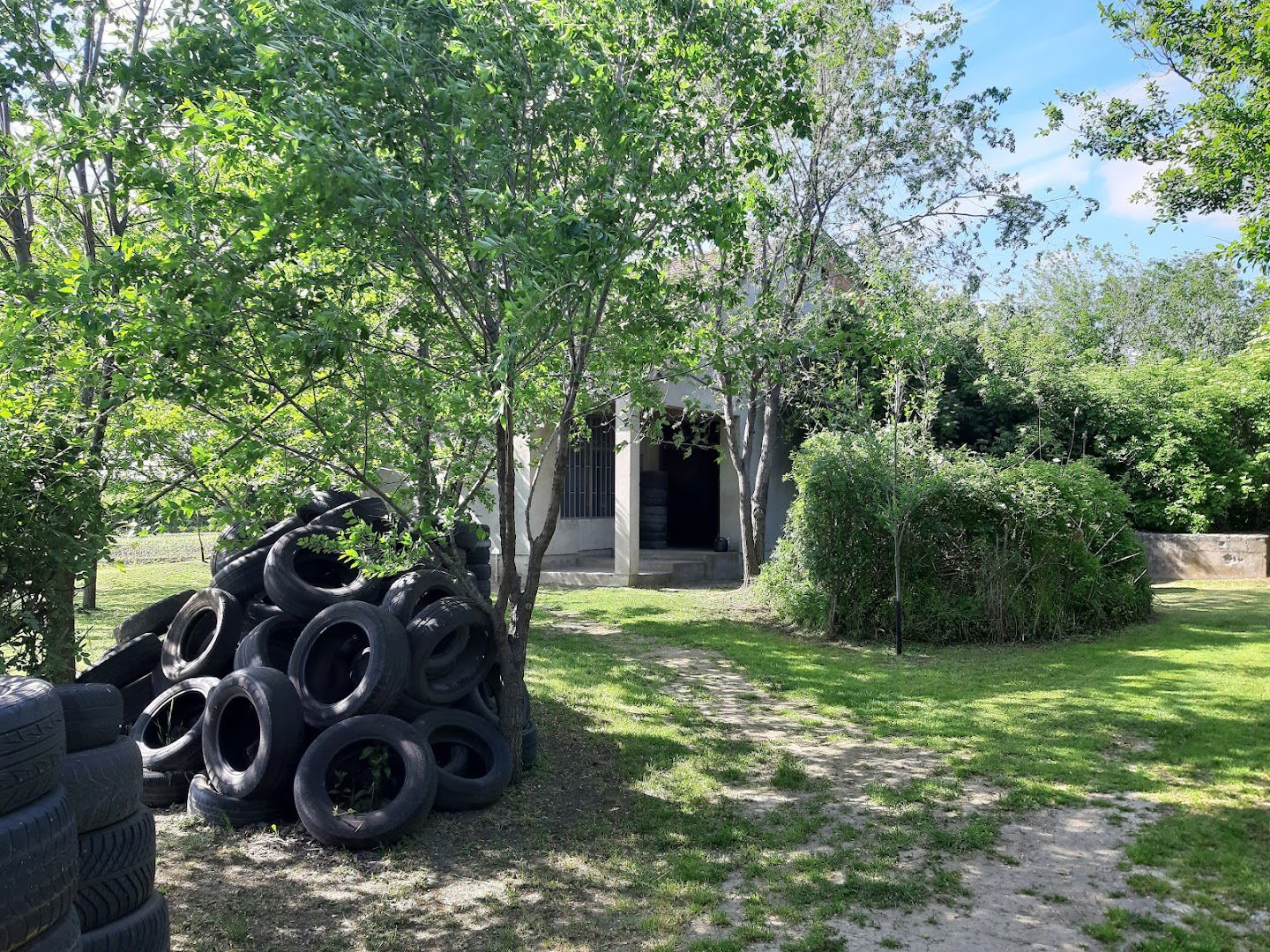 Airsoft Poligon Wild Hogs