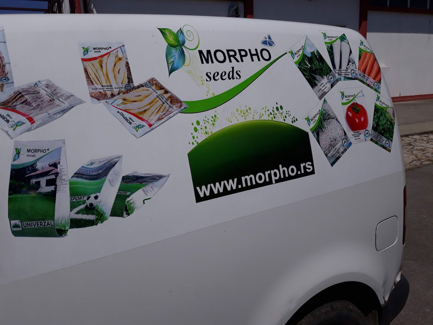 Morpho