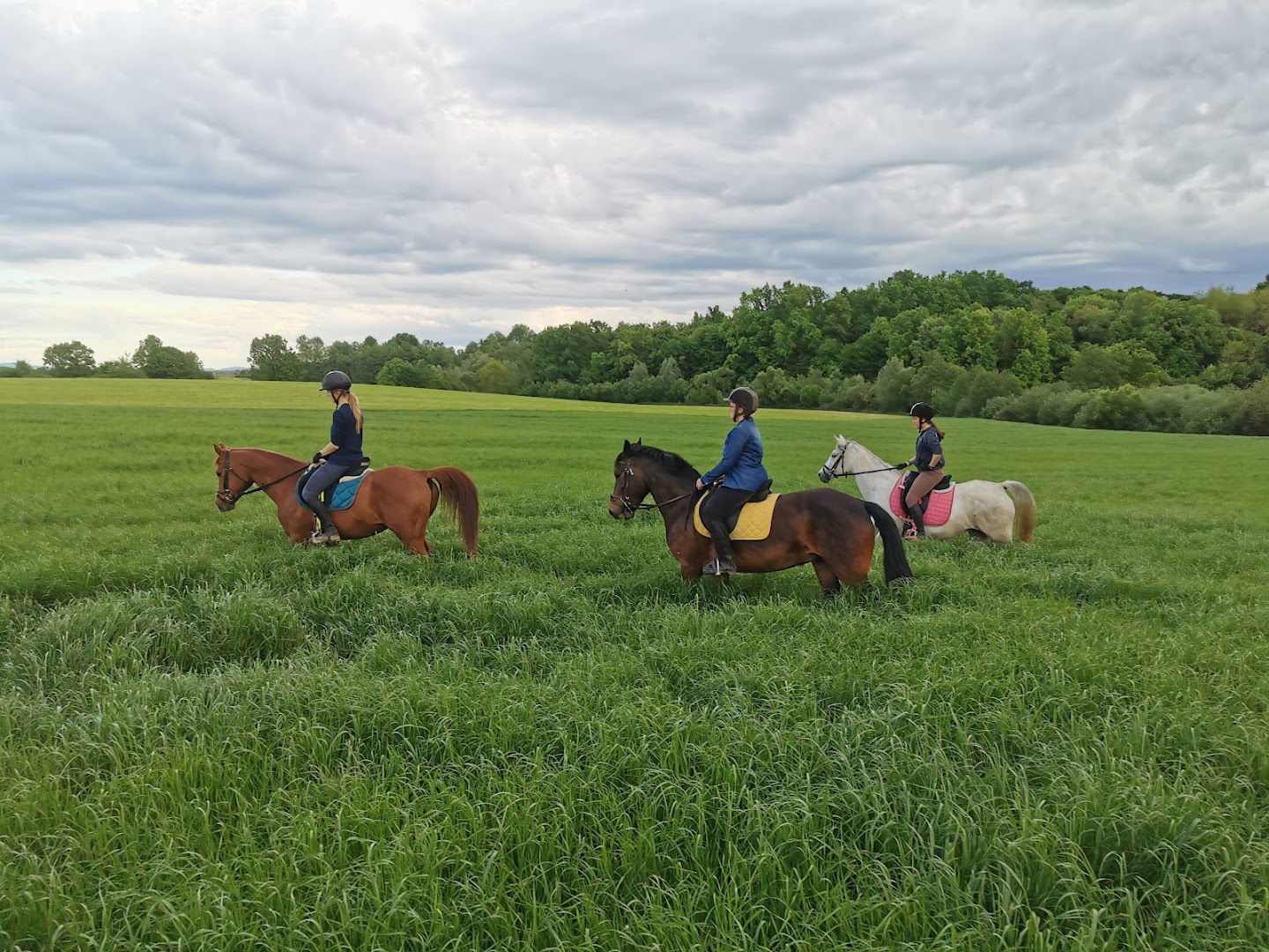 Konjički klub Garić & OPG Paula Popović