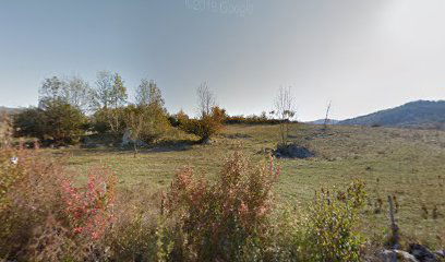Gornji Kosinj cemetery