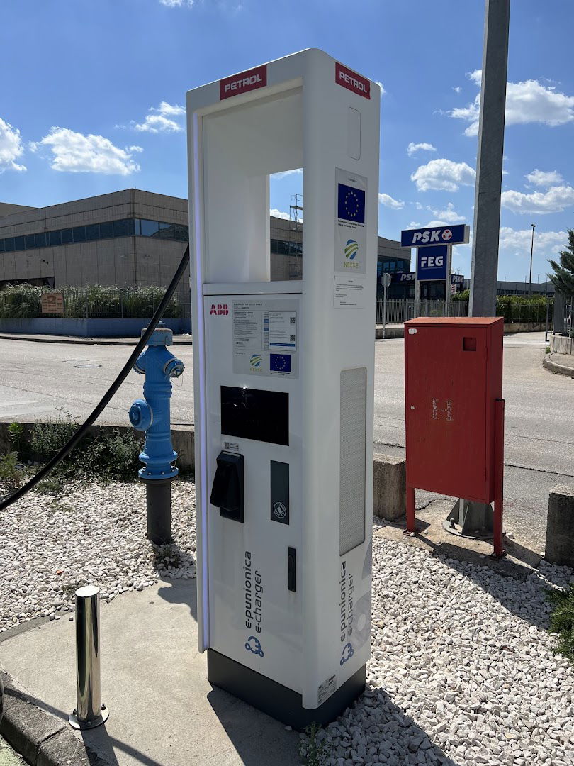 PETROL Charging Station