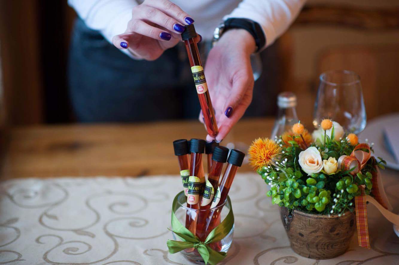 Galena biljno carstvo