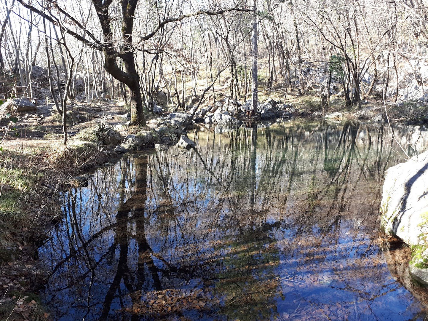 Vitovsko jezero