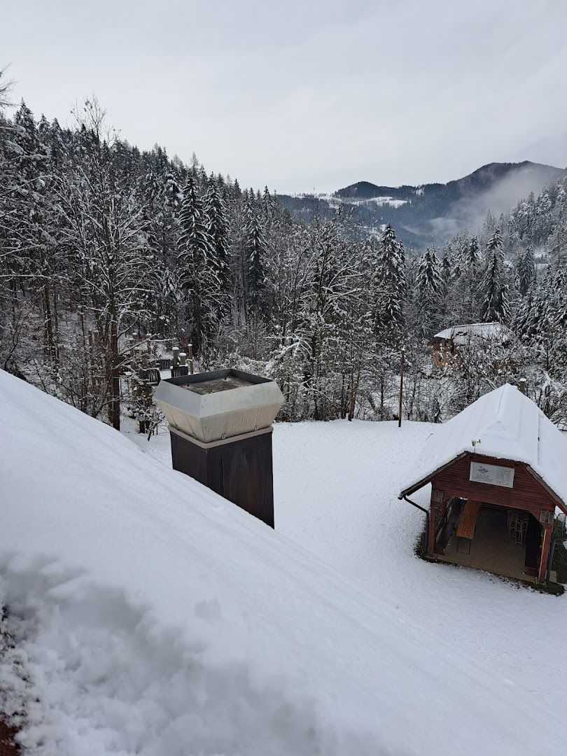 Center šolskih in obšolskih dejavnosti