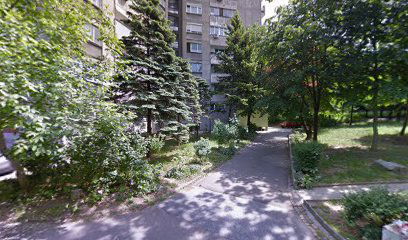 SEO agencija - White Hat