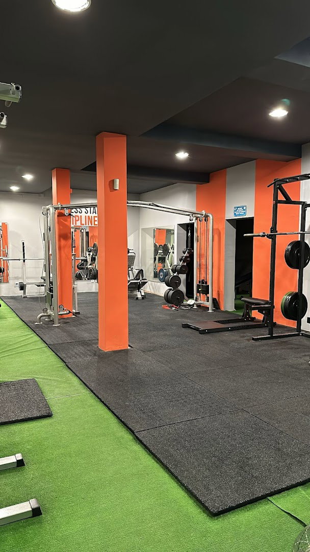 Wise Guys Fitness Club