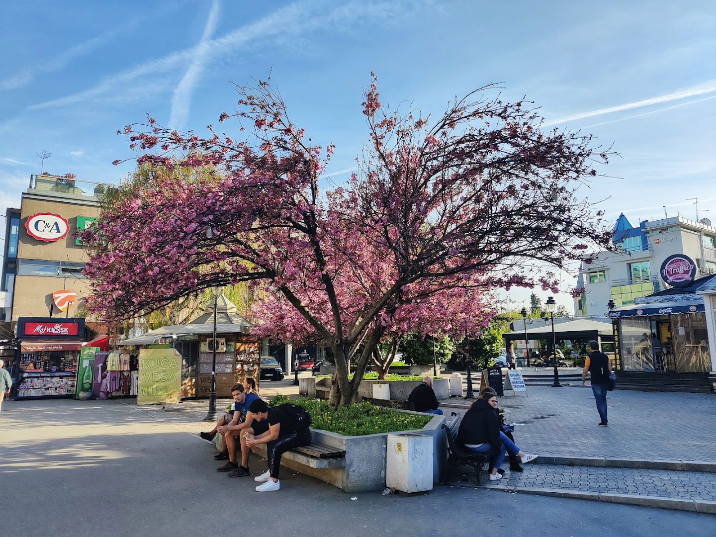 Zemun farmers market