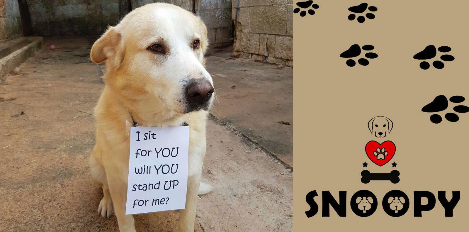 SNOOPY | Dog shelter - Pula