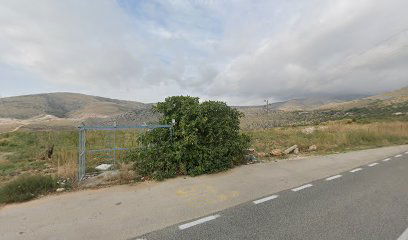 PLANO MALJKOVIĆI 2 - PRGOMET