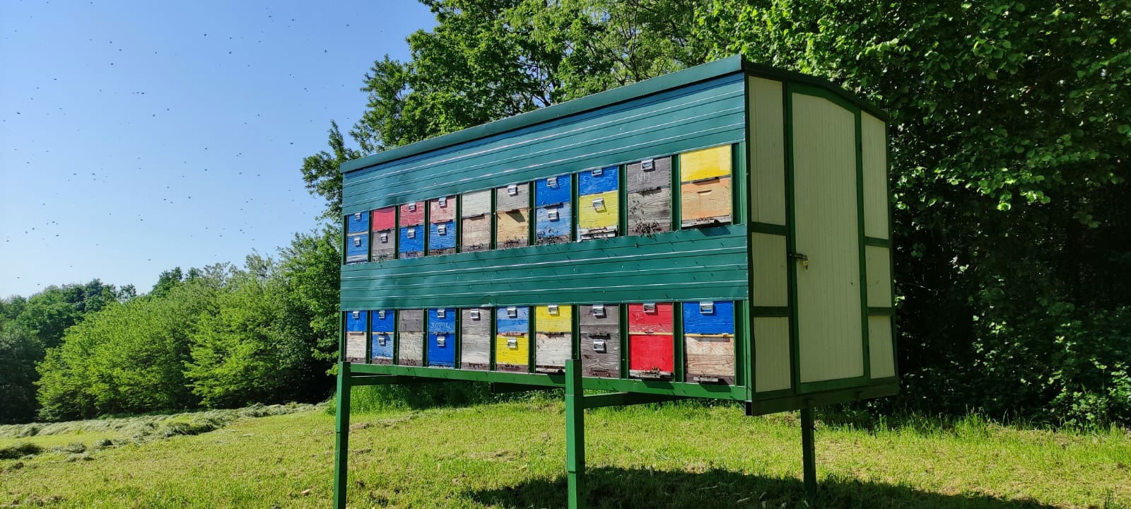 OPG Božidar Širanović