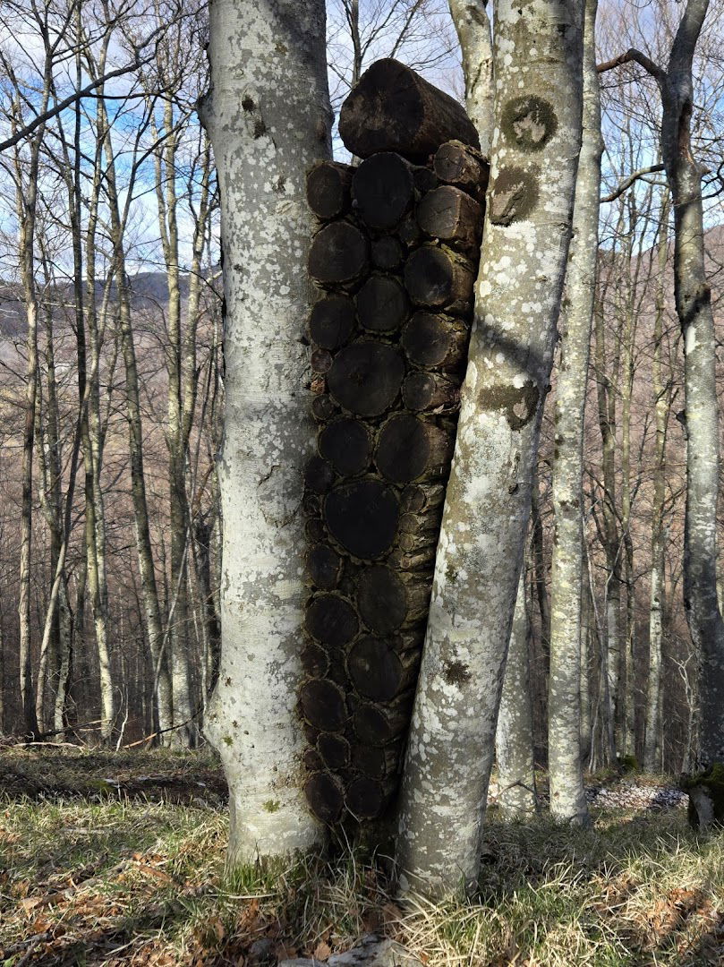 Sentinel, Učka Land Art Trail