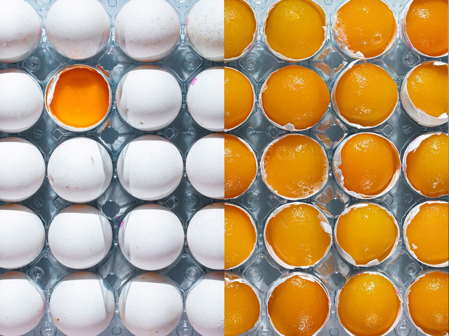 Katija Živković - Food and Lifestyle photographer