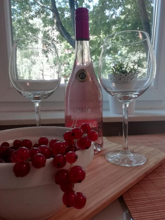 Šarmantni apartman Malecka