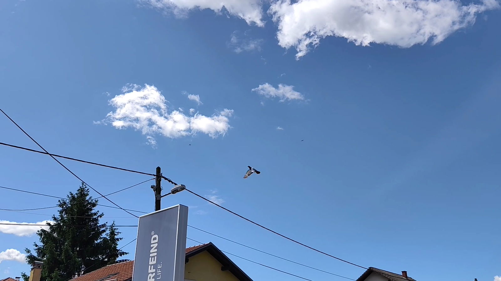 Bauerfeind d.o.o. Upravna zgrada