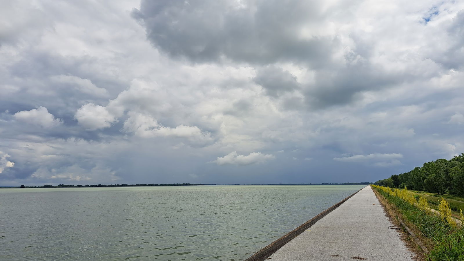 Društveni dom, Struga