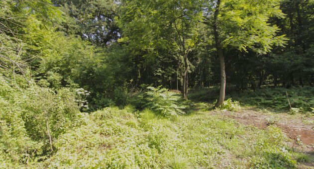 izvor Mandalina ćuprija