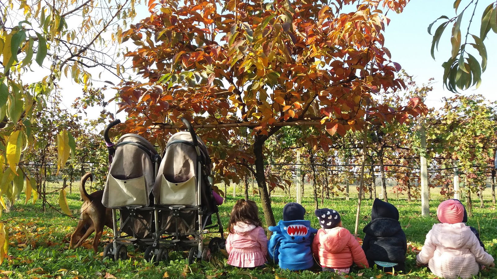 Asilo Nido Familiare Piccoli Passi