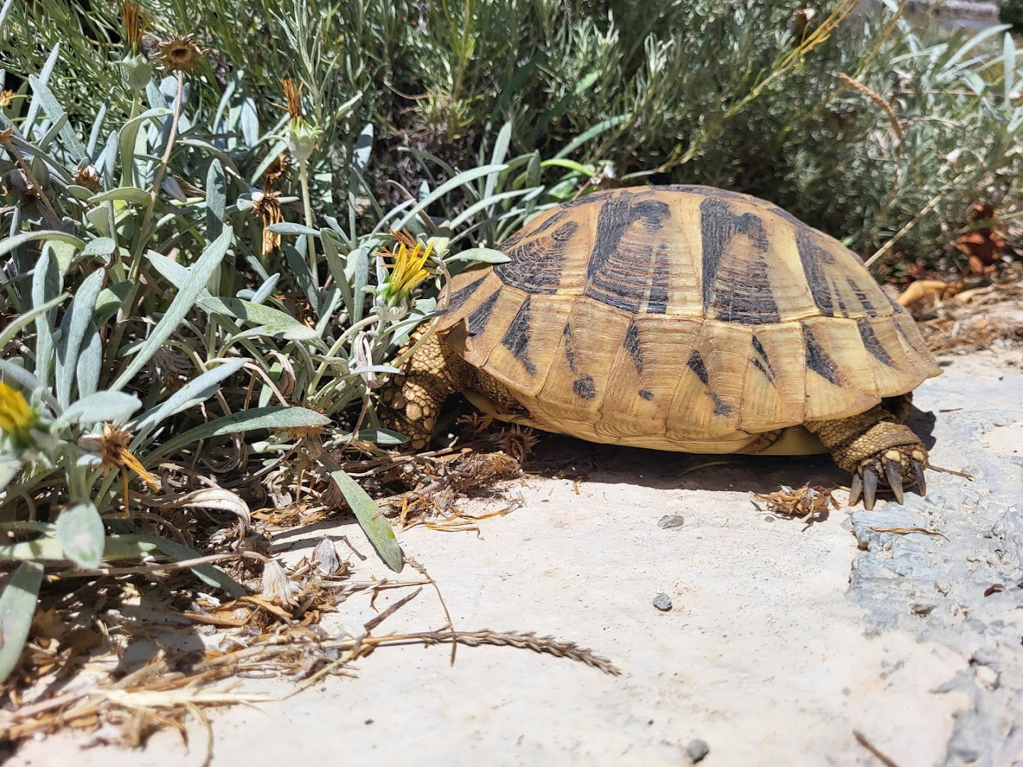 Apartment Seka, Ražanac