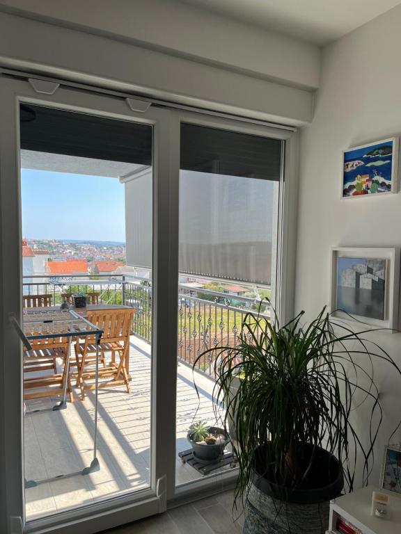 Apartman Jelena
