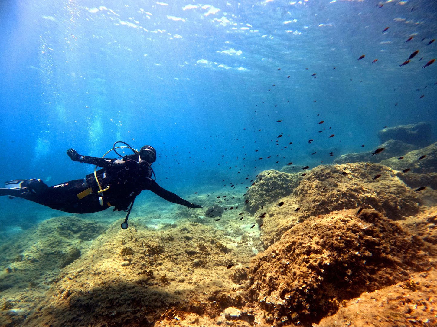 Draulik Diving Center