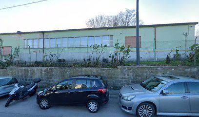 Nuova Triesteufficio Srl