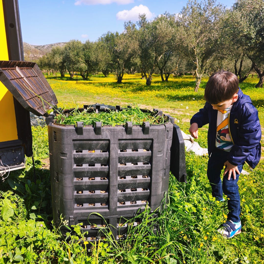 Jurkovic family olive farm