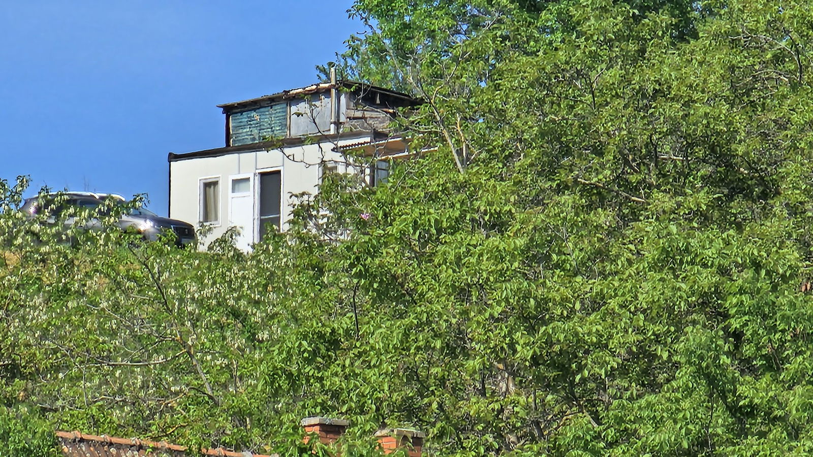 Čiča Tomina koliba