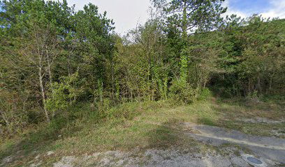 Erozijsko žarišče Babe pri Predloki