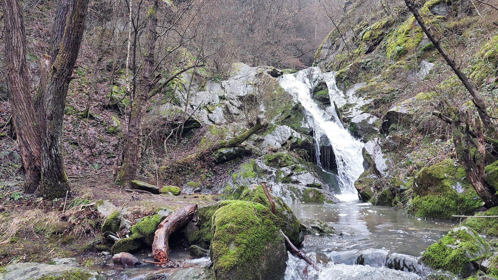 Čarobna Dolina, MANASTIRIŠTE