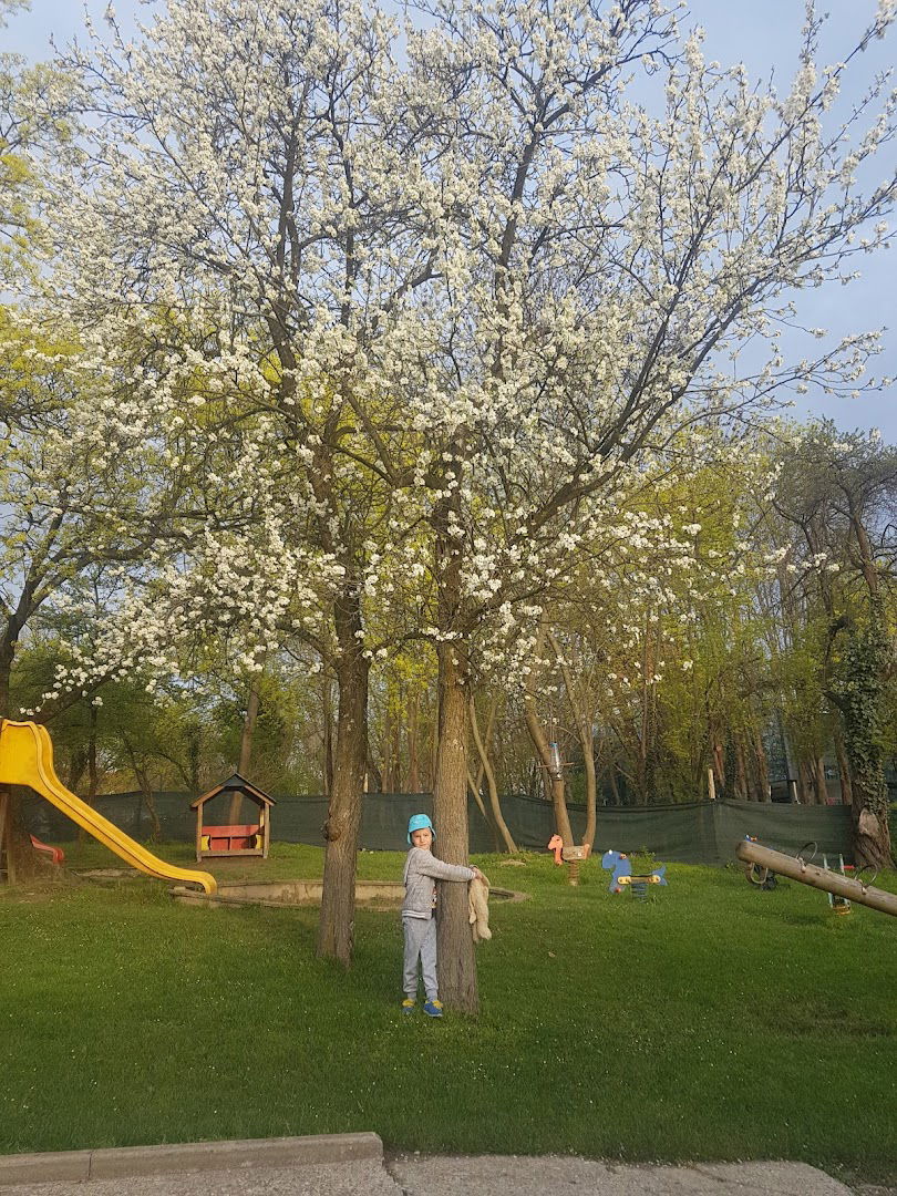 Dječji vrtić Vjeverica - područna kuća Šalata